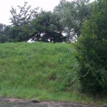 one_x_testbild10