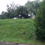 one_x_testbild11