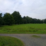 one_x_testbild6