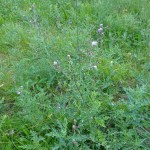 one_x_testbild8